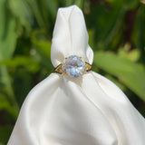 Anillo celeste